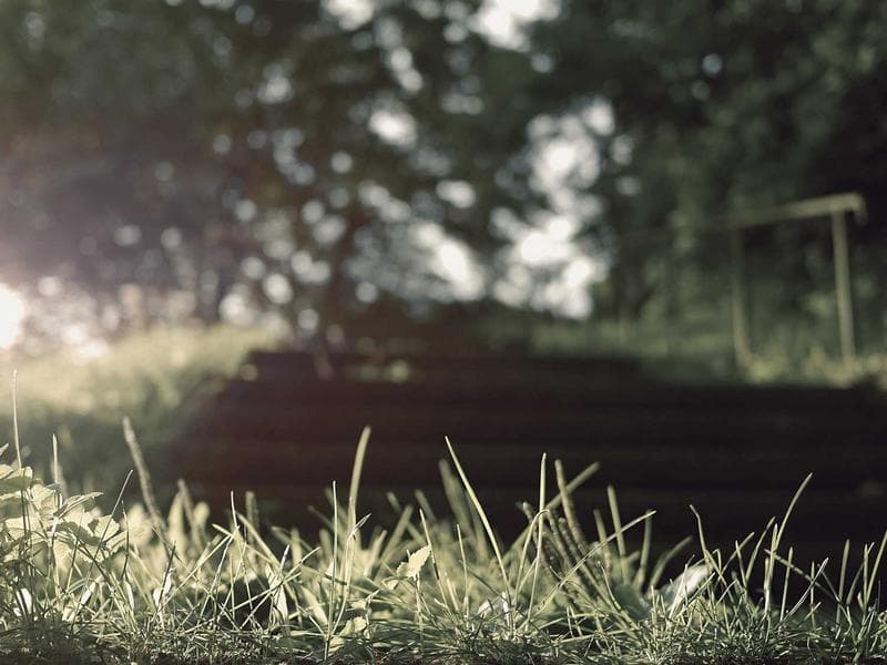 Universities Shift to Hybrid Learning