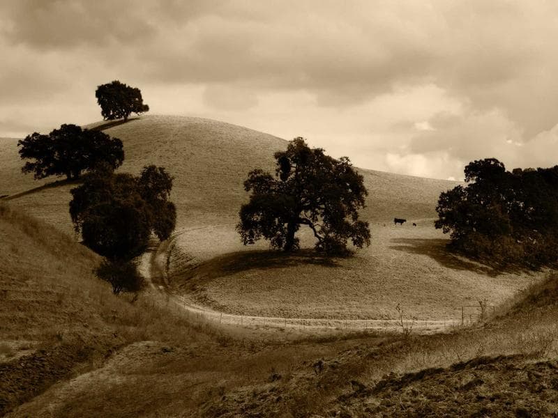 Blockbuster Movie Breaks Records