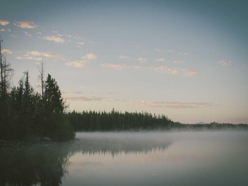 Global Summit Addresses Climate Change Crisis