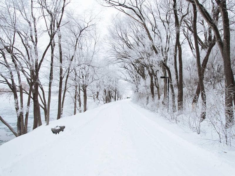 Coffee Prices Set to Rise