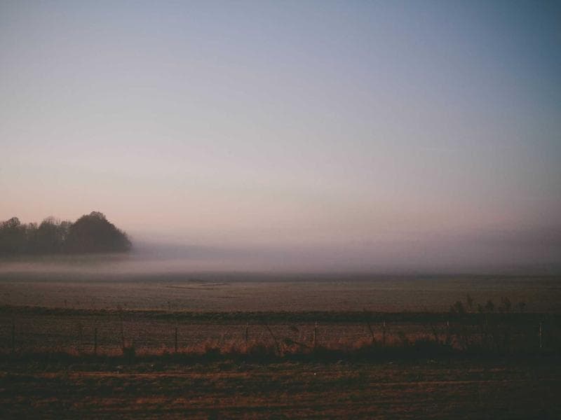 Ocean Cleanup Project Reaches Milestone