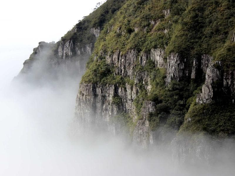 Formula 1: Season Finale Drama