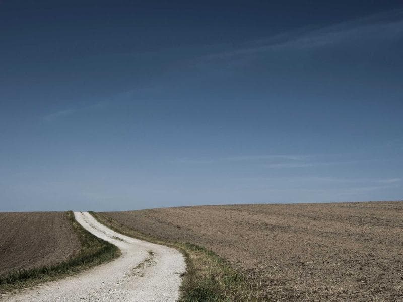 Study Links Diet to Longevity