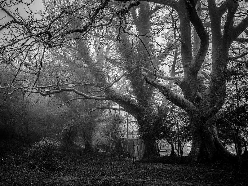 Space Tourism: First Hotel Planned