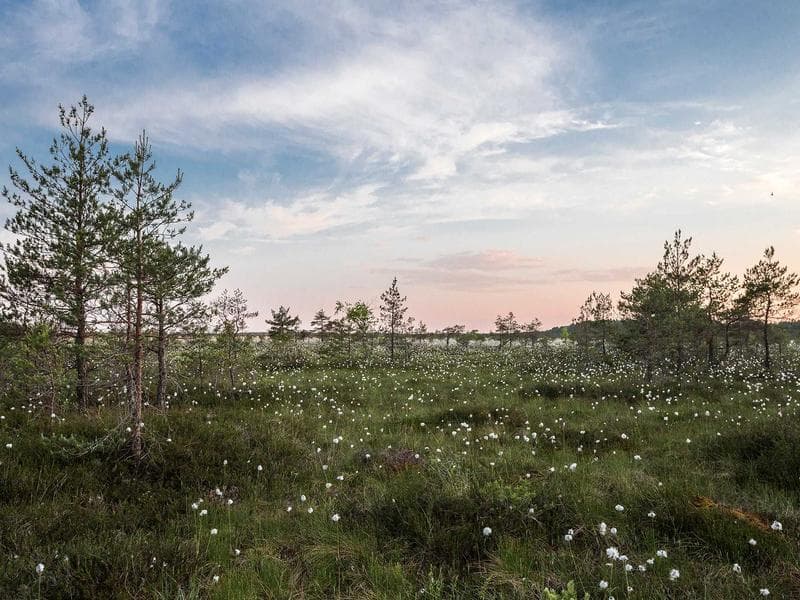 Solar Flare Disrupts Communications