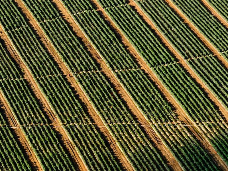 Tennis Star Announces Retirement