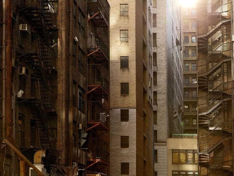 The Gig Economy Growth